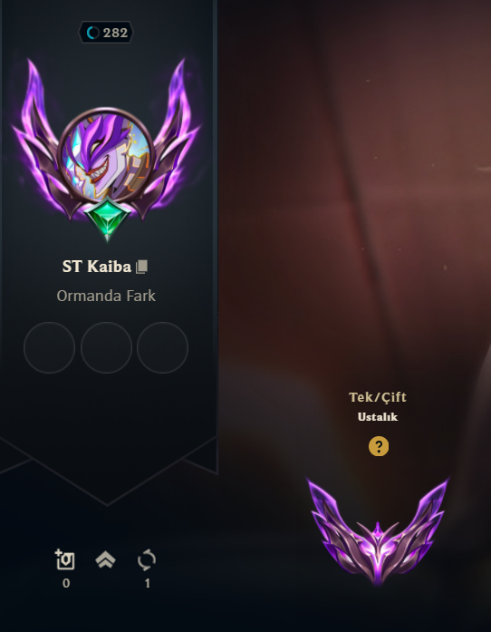 Öğrenci başarısı